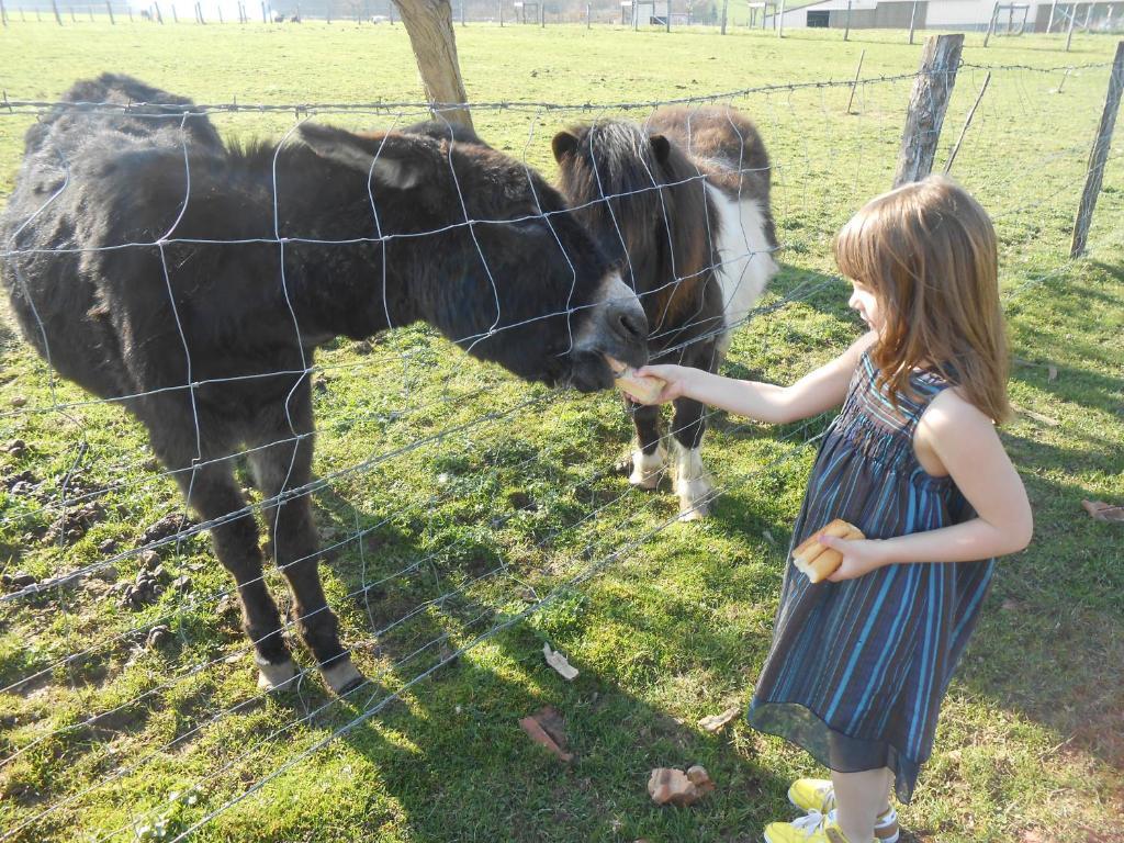 La Ferme Des 3 Suissesses Bed & Breakfast Saint-Paul  Dış mekan fotoğraf